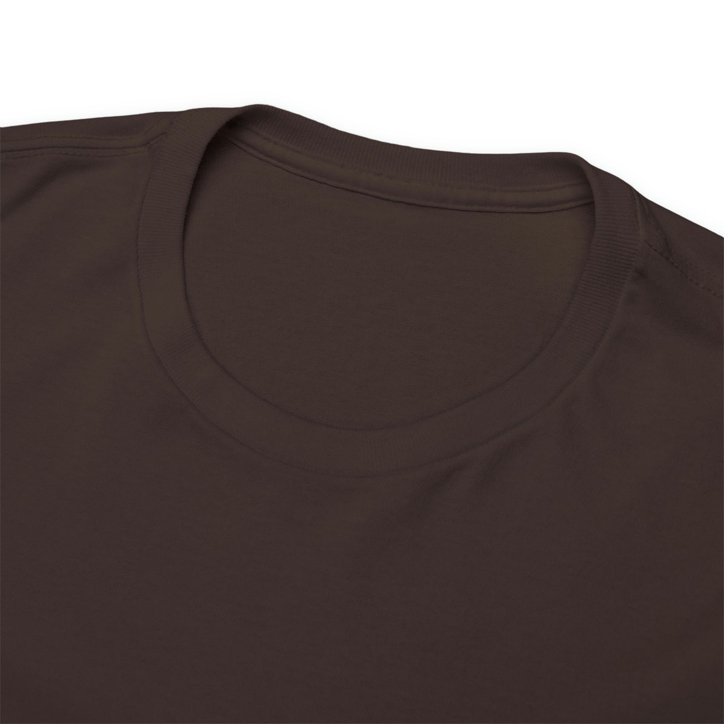 Slide Rock Gradient Soft T-Shirt Chocolate - redrockmerchco